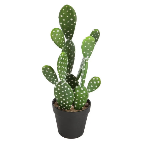 Cactus y maceta Al. 42 cm