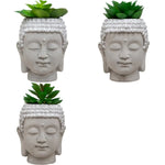 Planta artificial Budda